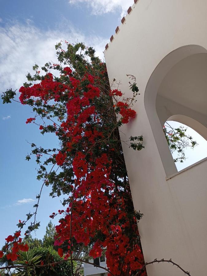 Castello Verde Plakiás Exterior foto